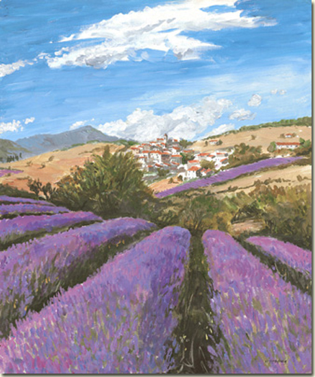Lavender Field near Village