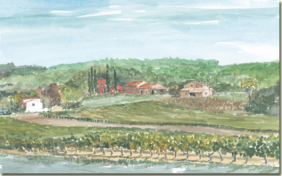 Grand Jas Vinyard, Entrecasteaux